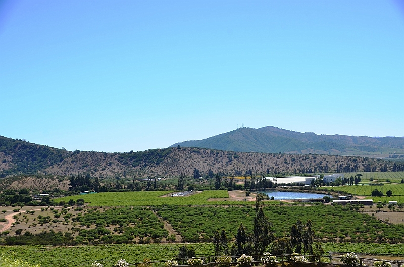201_Chile_Indomita_Winery.JPG