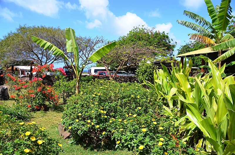 213_Chile_Easter_Island_Rano_Raraku.JPG