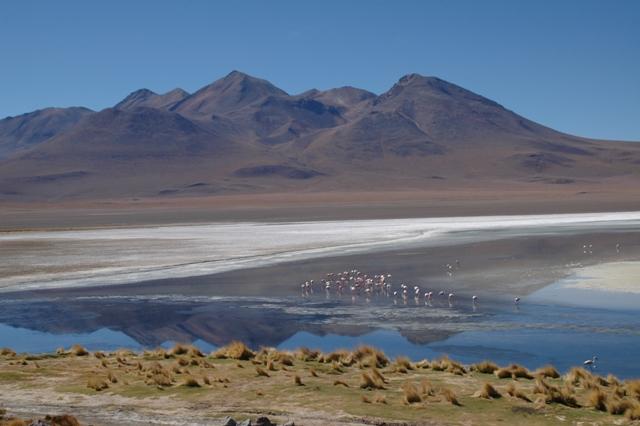 463_Bolivien_Altiplano_Landscap.JPG
