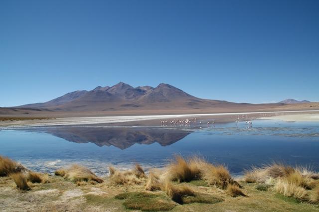 468_Bolivien_Altiplano_Landscap.JPG