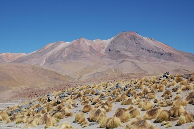 470_Bolivien_Altiplano_Landscap.JPG