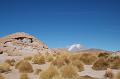 459_Bolivien_Altiplano_Landscap