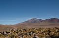 460_Bolivien_Altiplano_Landscap
