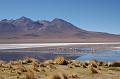 464_Bolivien_Altiplano_Landscap