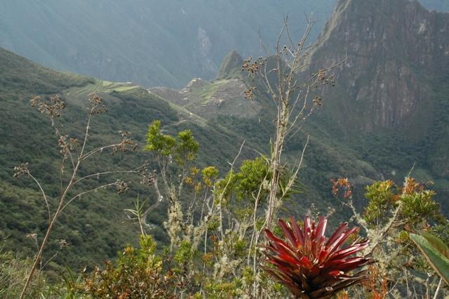 307_Peru_Inkatrail_Machu_Picchu.JPG
