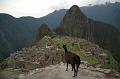 316_Peru_Inkatrail_Machu_Picchu