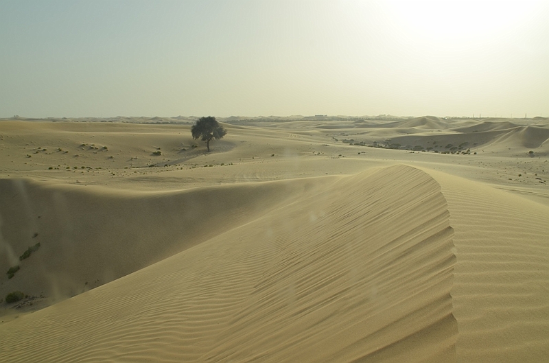 066_Abu_Dhabi_Jeep_Safari.JPG