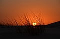097_Abu_Dhabi_Jeep_Safari_Sunset