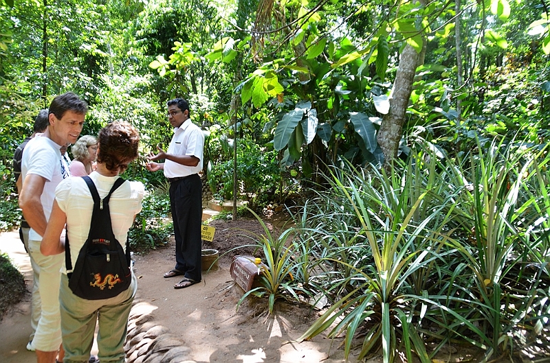 227_Sri_Lanka_Gewuerzgarten.JPG