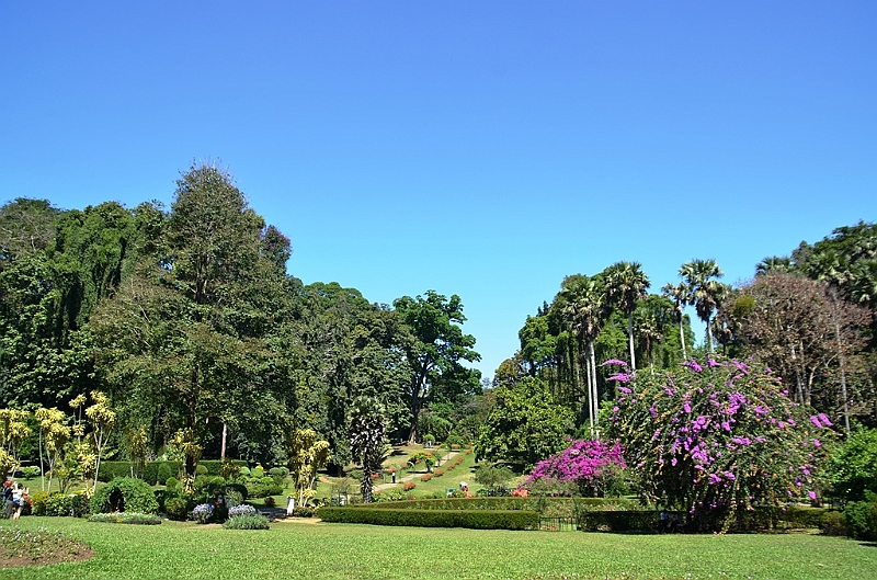 300_Sri_Lanka_Kandy_Botanic_Gardens.JPG