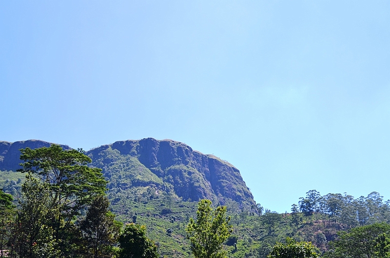 366_Sri_Lanka.JPG