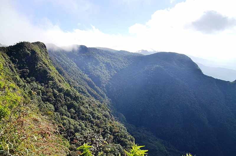 392_Sri_Lanka_Horton_Plains_NP.JPG