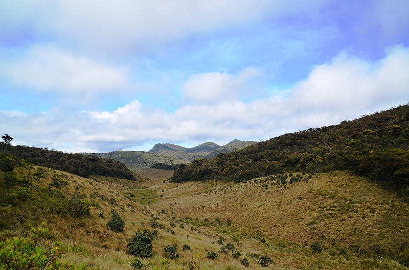 400_Sri_Lanka_Horton_Plains_NP.JPG