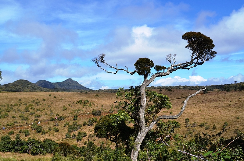 403_Sri_Lanka_Horton_Plains_NP.JPG