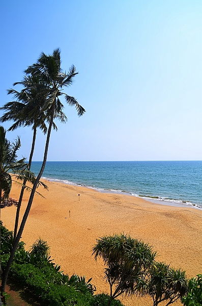 536_Sri_Lanka_Mount_Lavinia.JPG