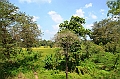 111_Sri_Lanka_Giritale