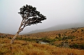 385_Sri_Lanka_Horton_Plains_NP