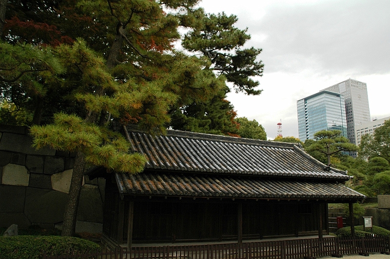 039_Tokyo_Imperial_Palace_Gardens.JPG