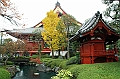 165_Tokyo_Sensoji_Temple