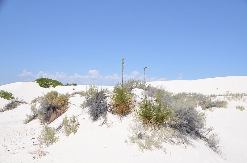 091_USA_White_Sands_National_Monument.JPG