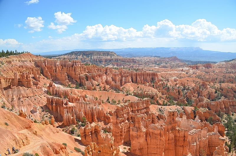335_USA_Bryce_Canyon_National_Park.JPG