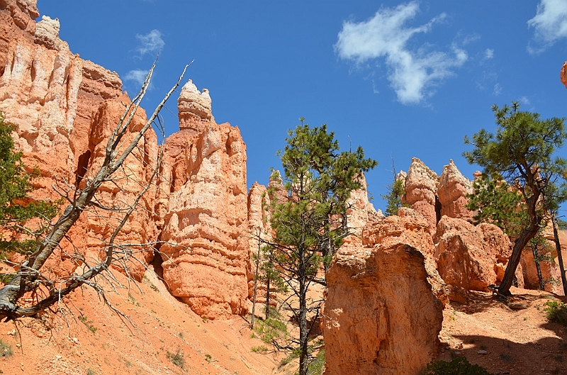 347_USA_Bryce_Canyon_National_Park.JPG