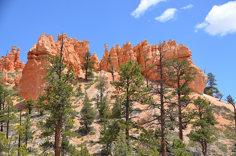 358_USA_Bryce_Canyon_National_Park.JPG