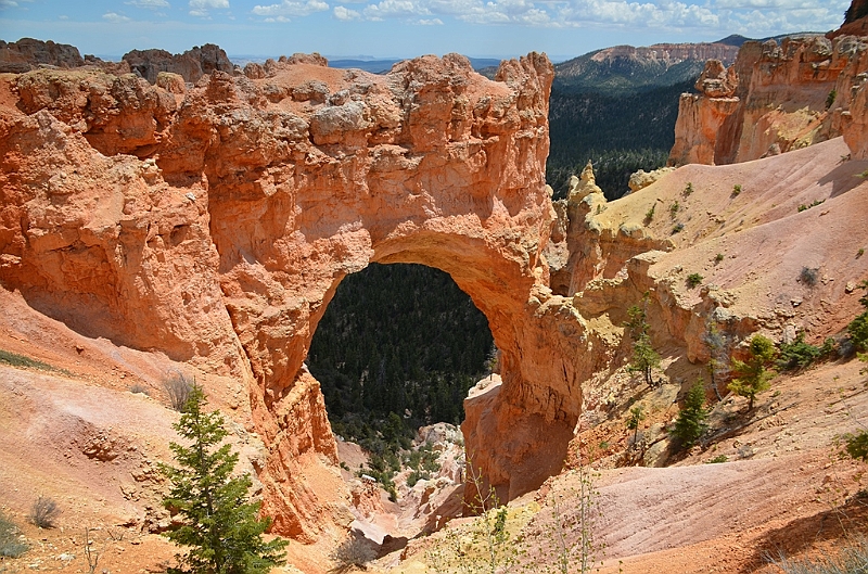 390_USA_Bryce_Canyon_National_Park.JPG