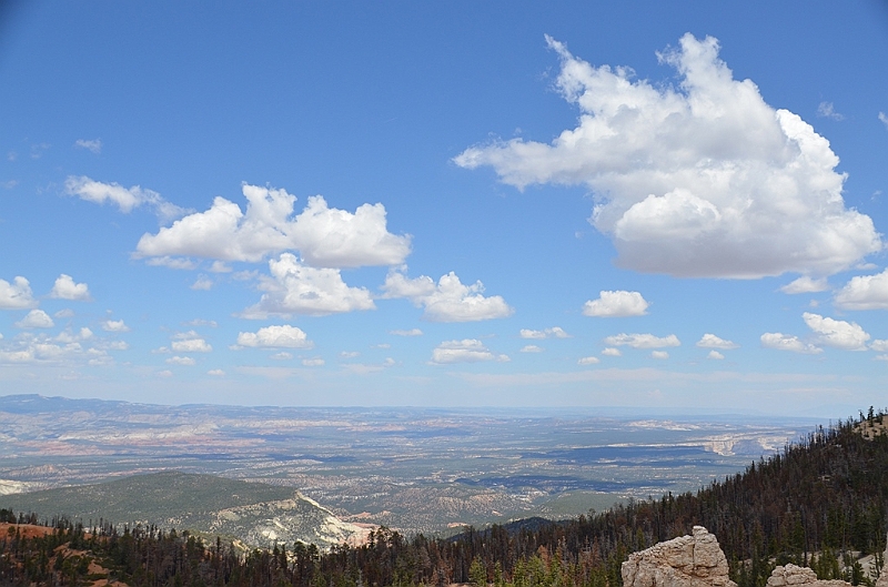 397_USA_Bryce_Canyon_National_Park.JPG