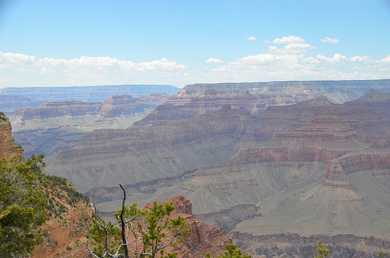 558_USA_Grand_Canyon_National_Park.JPG