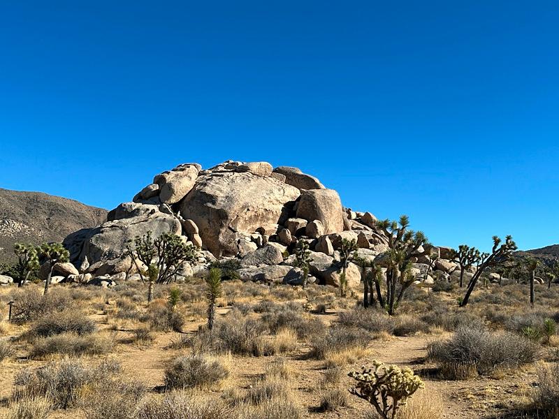 025_USA_Kalifornien­_Joshua_Tree_Nationalpark .JPG