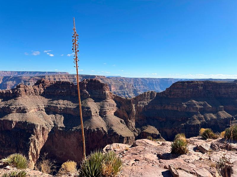350_USA_Arizona_Grand_Canyon_NP_West.JPG