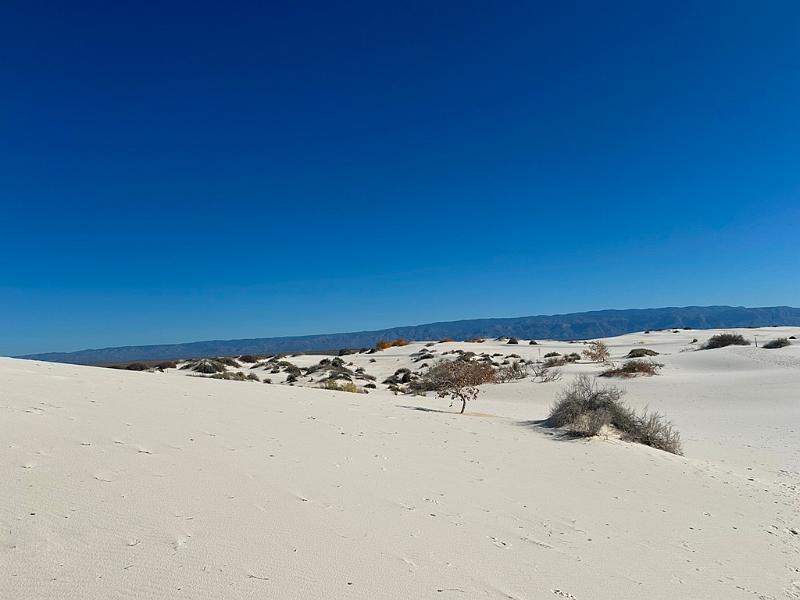 426_USA_New_Mexico_White_Sands_NP.JPG