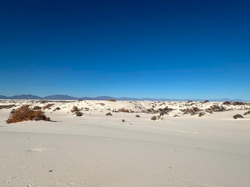 427_USA_New_Mexico_White_Sands_NP.JPG