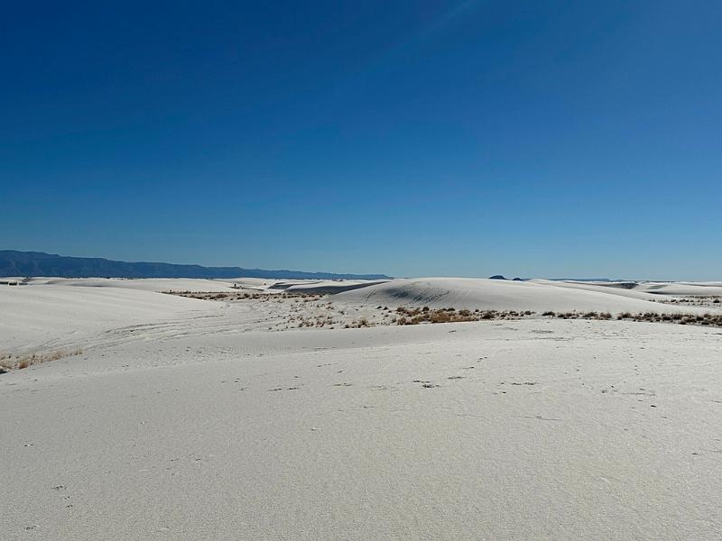 433_USA_New_Mexico_White_Sands_NP.JPG