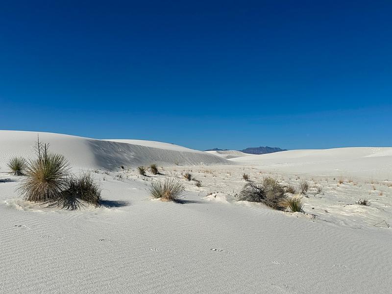 443_USA_New_Mexico_White_Sands_NP.JPG