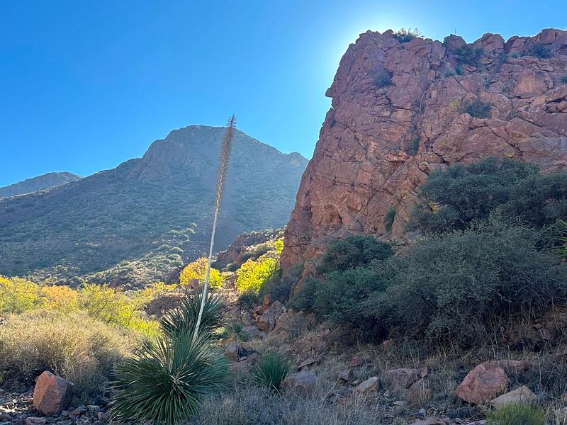 455_USA_Texas_Franklin_Mountains_State_Park.JPG