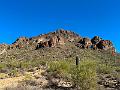 396_USA_Arizona_Saguaro_NP