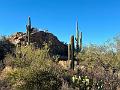 409_USA_Arizona_Saguaro_NP