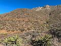 458_USA_Texas_Franklin_Mountains_State_Park